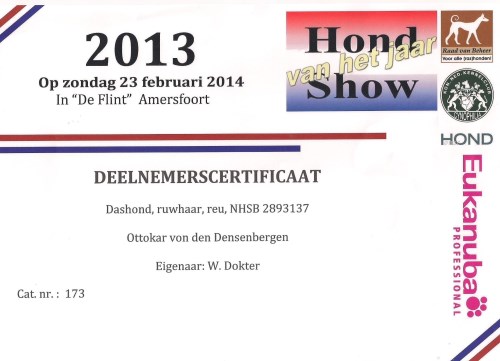 Certificaat Amerffort 2013