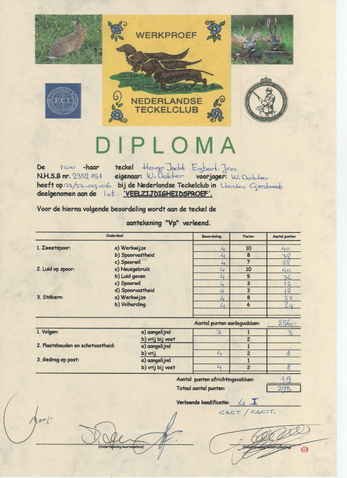 inter vp nl diploma